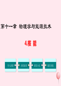 九年级物理下册 第十一章 物理学与能源技术4 核能教学课件（新版）教科版