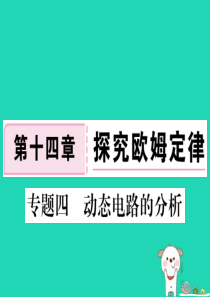 九年级物理上册 专题四 动态电路的分析习题课件 （新版）粤教沪版