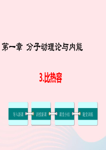 九年级物理上册 第一章 分子动理论与内能3 比热容教学课件（新版）教科版