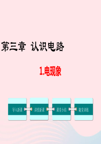 九年级物理上册 第三章 认识电路1 电现象教学课件（新版）教科版