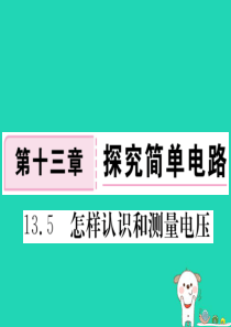 九年级物理上册 13.5 怎样认识和测量电压习题课件 （新版）粤教沪版