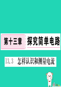 九年级物理上册 13.3 怎样认识和测量电流习题课件 （新版）粤教沪版