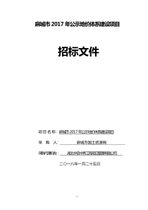 麻城市年公示地价体系建设项目（DOC53页）