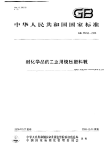 GB 20265-2006 耐化学品的工业用模压塑料靴