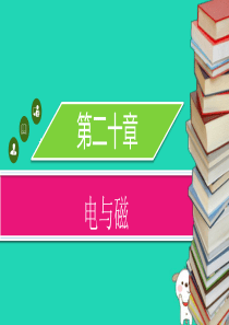 九年级物理全册 第二十章 第四节 电动机习题课件 （新版）新人教版