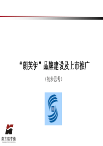 南方策略-“朗芙伊”品牌建设及上市推广