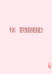 九年级物理全册 13.3 比热容 考点专训1 探究物质的吸热能力课件 （新版）新人教版