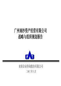 南沙资产经营公司战略与组织规划（PPT 151页）