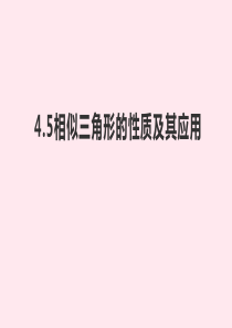 九年级数学上册 第4章 相似三角形 4.5 相似三角形的性质及其应用课件（新版）浙教版