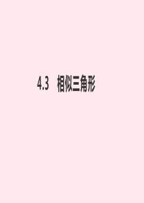 九年级数学上册 第4章 相似三角形 4.3 相似三角形课件（新版）浙教版