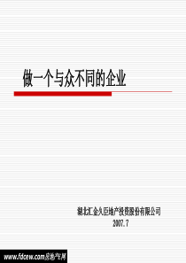 湖北汇金地产战略思想和架构流程报告