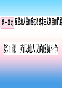 九年级历史下册 第一单元 殖民地人民的反抗与资本主义制度的扩展 第1课 殖民地人民的反抗斗争习题课件