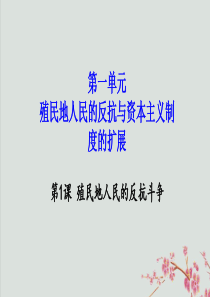 九年级历史下册 第一单元 殖民地人民的反抗与资本主义制度的扩展 第1课 殖民地人民的反抗斗争教学课件