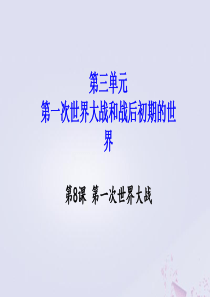 九年级历史下册 第三单元 第一次世界大战和战后初期的世界 第8课 第一次世界大战教学课件 新人教版