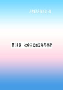 九年级历史下册 第5单元 冷战和美苏对峙的世界 第18课 社会主义的发展与挫折作业课件 新人教版