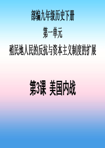 九年级历史下册 第1单元 殖民地人民的反抗与资本主义制度的扩展 第3课 美国内战课件5 新人教版