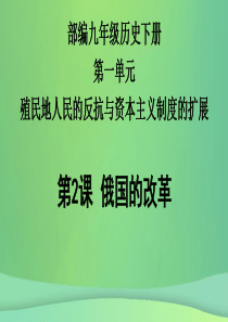 九年级历史下册 第1单元 殖民地人民的反抗与资本主义制度的扩展 第2课 俄国的改革课件6 新人教版