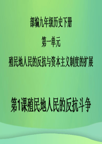 九年级历史下册 第1单元 殖民地人民的反抗与资本主义制度的扩展 第1课 殖民地人民的反抗斗争课件3 