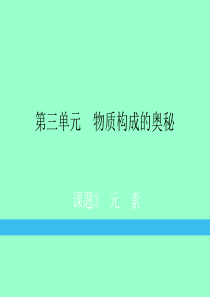 九年级化学上册 第3单元 物质构成的奥秘 课题3 元素练习课件 （新版）新人教版