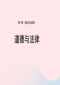 九年级道德与法治下册 第四单元 践行发展战略 第11课 建设法治国家 第1框 道德与法课件 苏教版