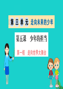 九年级道德与法治下册 第三单元 走向未来的少年 第五课 少年的担当 第1框 走向世界大舞台习题课件 