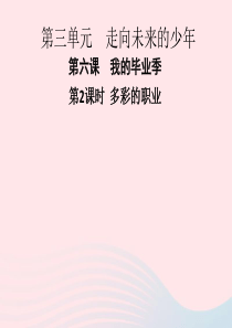 九年级道德与法治下册 第三单元 走向未来的少年 第六课 我的毕业季 第2框 多彩的职业习题课件 新人