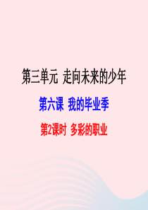 九年级道德与法治下册 第三单元 走向未来的少年 第六课 我的毕业季 第2框 多彩的职业课件3 新人教