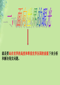 九年级道德与法治上册 第一单元 世界在我心中 第三节 树立全球观念课件 湘教版