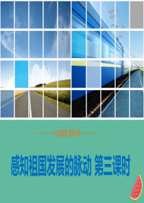 九年级道德与法治上册 第一单元 认识国情 爱我中华 1.1 感知祖国发展的脉动 第三框《建设中国特色