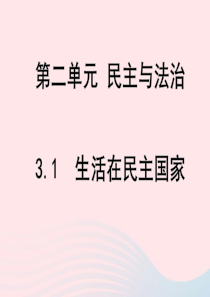 九年级道德与法治上册 第二单元 民主与法治复习课件 新人教版