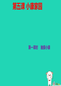 九年级道德与法治上册 第二单元 感受祖国的心跳 第五课 小康家园 第1框 触摸小康 总体小康已经实现