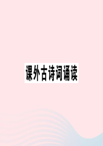 江西省2020春九年级语文下册 第六单元 课外古诗词诵读习题课件 新人教版