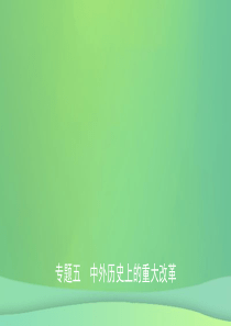 江西省2019年中考历史专题复习 专题五 中外历史上的重大改革课件