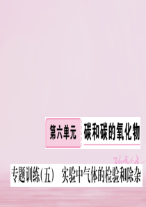 江西省2018年秋九年级化学上册 第六单元 碳和碳的氧化物 专题训练（五）实验中气体的检验和除杂练习