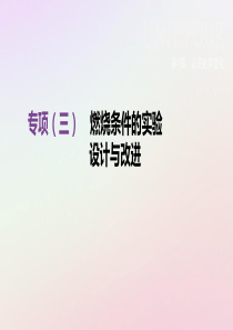 江苏省徐州市2019年中考化学专项复习 专项（三）燃烧条件的实验设计与改进课件