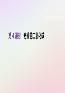 江苏省徐州市2019年中考化学复习 第2章 身边的化学物质 第4课时 奇妙的二氧化碳课件