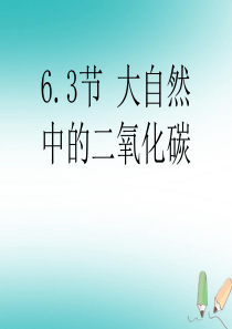 江苏省宿迁市沭阳县马厂镇九年级化学全册 6 燃烧与燃料 6.3 大自然中的二氧化碳（2）课件 （新版