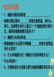 江苏省铜山区七年级生物下册 9.1 植物体的结构层次课件 （新版）苏科版