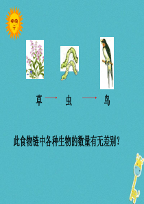 吉林省长春市七年级生物上册 第一单元 第二章 第三节《生物圈是最大的生态系统》参考课件2 （新版）新