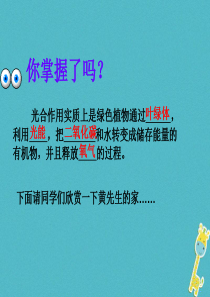 吉林省长春市七年级生物上册 第三单元 第五章 第二节 绿色植物的呼吸作用课件5 （新版）新人教版