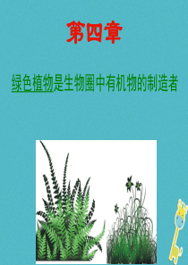 吉林省长春市七年级生物上册 第三单元 第四章 绿色植物是生物圈中有机物的制造者课件4 （新版）新人教