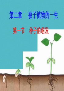 吉林省长春市七年级生物上册 第三单元 第二章 第一节 种子的萌发课件2 （新版）新人教版