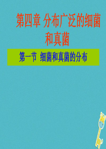 吉林省长春市八年级生物上册 第五单 第四章 第一节 细菌和真菌的分布课件 （新版）新人教版