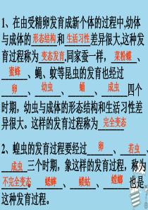 吉林省通化市八年级生物下册 7.1.3两栖动物的生殖和发育课件 （新版）新人教版