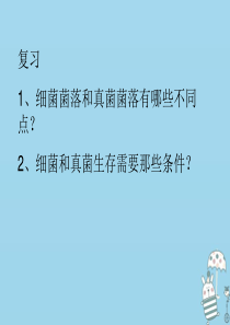 吉林省通化市八年级生物上册 5.4.2细菌课件 （新版）新人教版