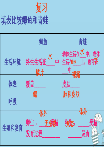 吉林省通化市八年级生物上册 5.1.5两栖动物和爬行动物 爬行动物课件 （新版）新人教版