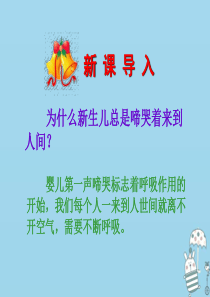 吉林省双辽市七年级生物下册 第四单元 第三章 第一节  呼吸道对空气的处理课件 （新版）新人教版