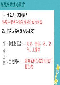 吉林省前郭尔罗斯蒙古族自治县七年级生物上册 1.2.1 生物与环境的关系课件2 （新版）新人教版