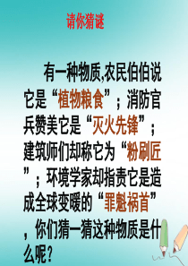 湖南省益阳市资阳区迎丰桥镇九年级化学上册 第五章 燃料 5.3 二氧化碳的性质和制法 自制二氧化碳性