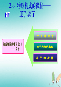 湖南省益阳市资阳区迎丰桥镇九年级化学上册 第2章 空气、物质的构成 2.3 构成物质的微粒（Ⅱ）—原